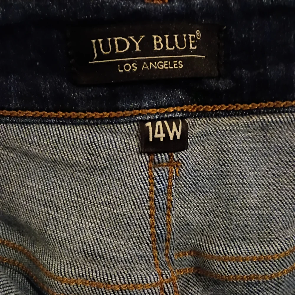 Judy Blue Indigo Wash Skinny Jeans